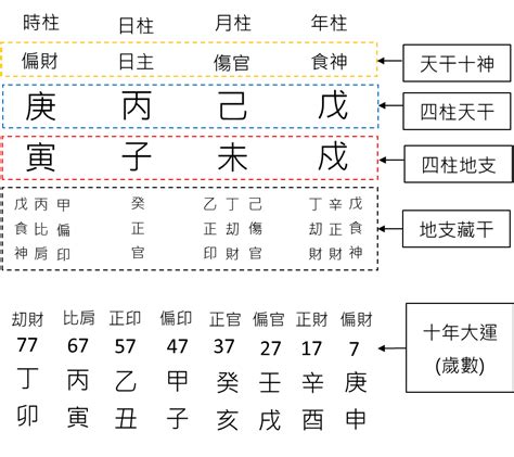 怎麼看八字屬性|八字新手教學 